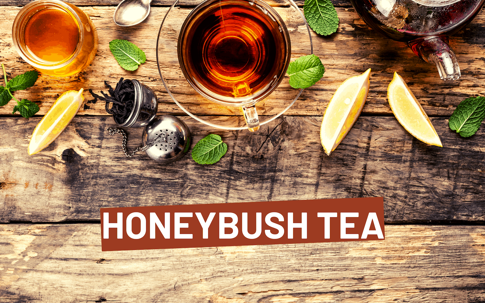 Everything You Want To Know About Honeybush Tea | FreshCap Mushrooms